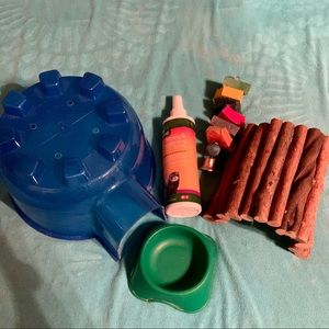 Guinea Pig accessories